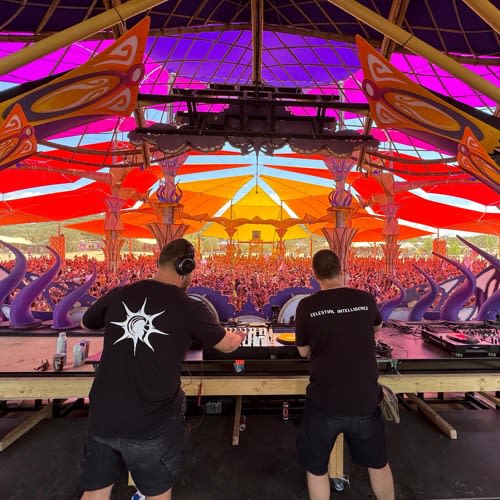 Celestial Intelligence (Suntrip Records)