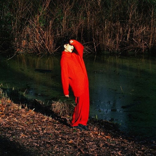 ˜”*°•. blume .•°*”˜