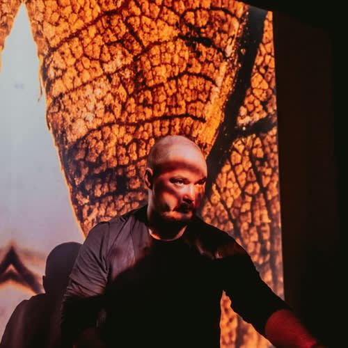 MΣO CULPA [aka morphēo]