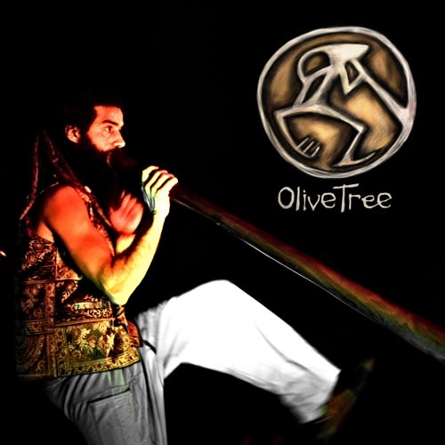 OliveTreeDance