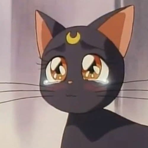 ✧princess elf bar✧