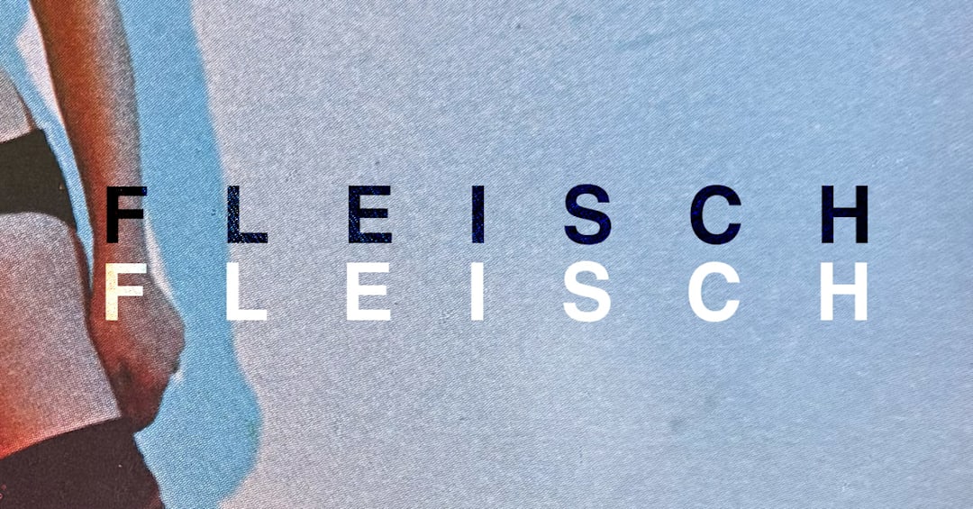 Fleisch Fleisch: Shonky, Katia Curie, Ivan Smagghe