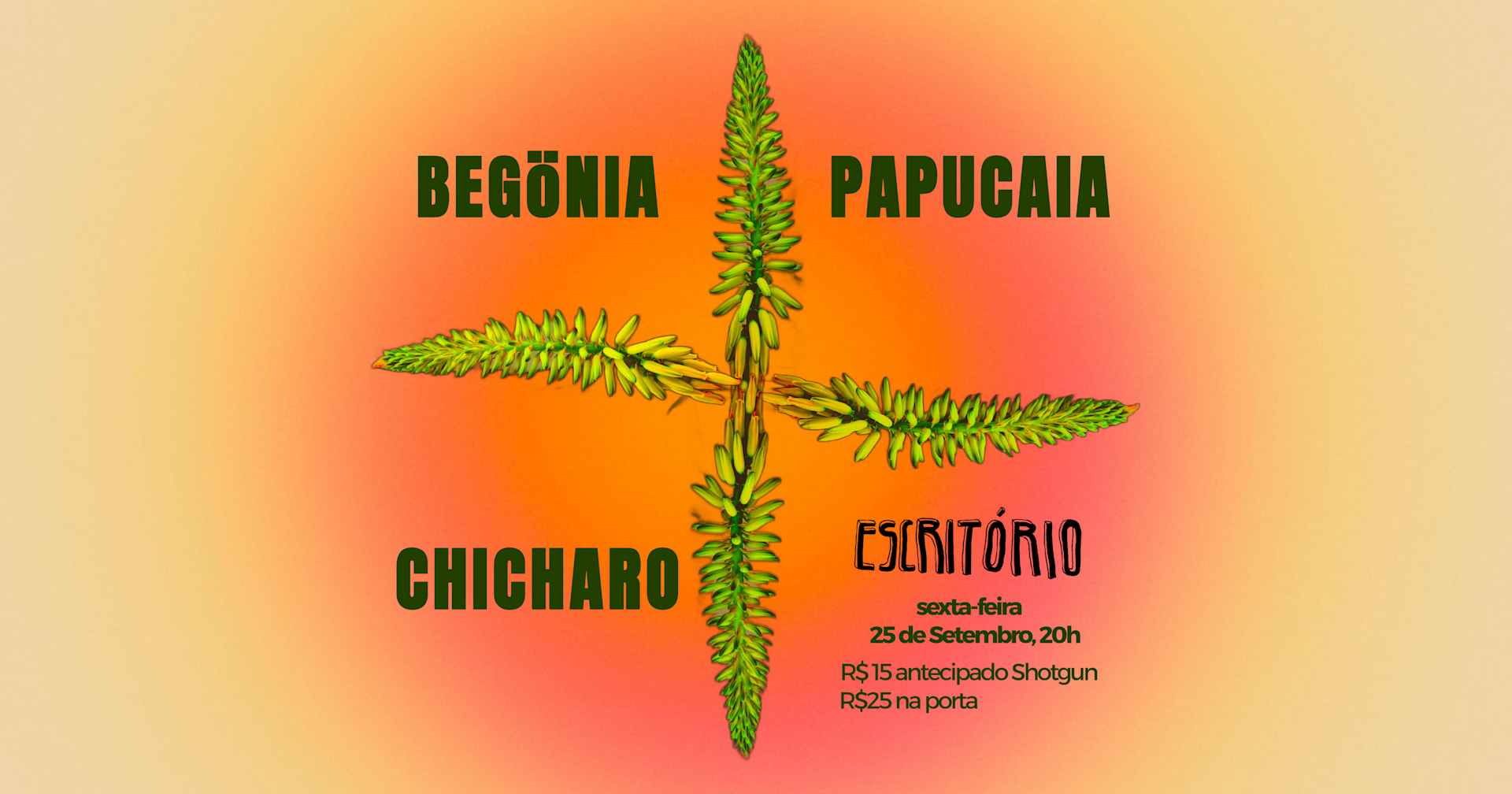 BEGÖNIA • PAPUCAIA • CHICHARO NO ESCRITÓRIO