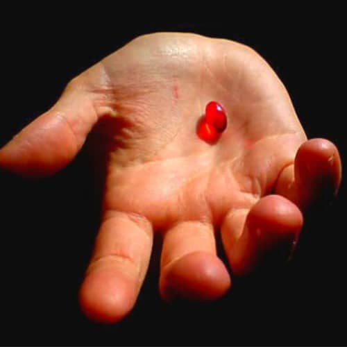 RedPill Music Live Live Tour dates & Tickets · Shotgun