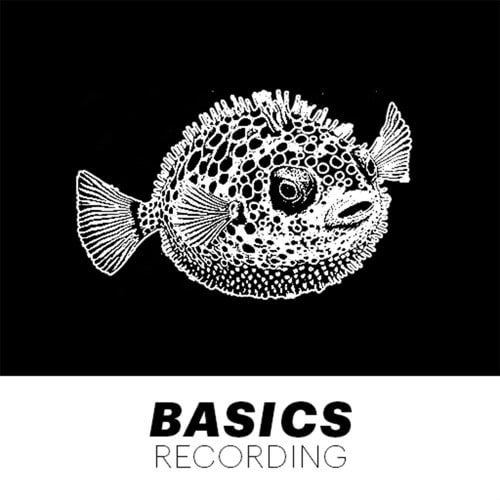 Basics Recording Tour Dates Music More