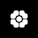 Daisylusion Mini Fest