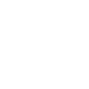 Voice
