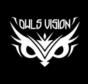Owls Vision