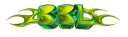 BBL Originals