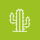 Guacamole Cocina Mexicana