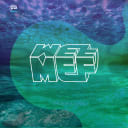 MEF
