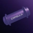 CAPSULA FLN