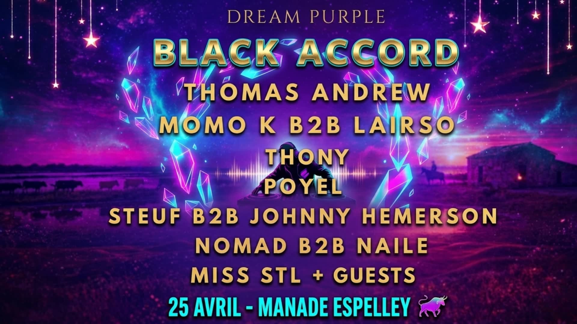 Dream Purple The Birthday Edition