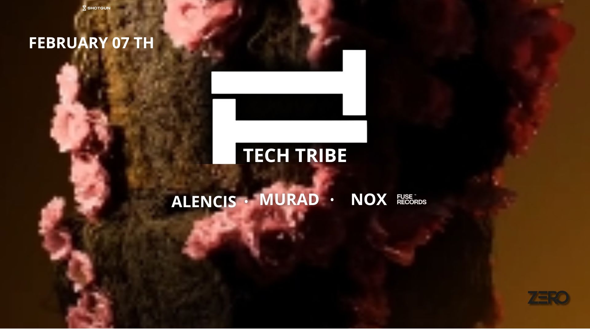 TECH TRIBE