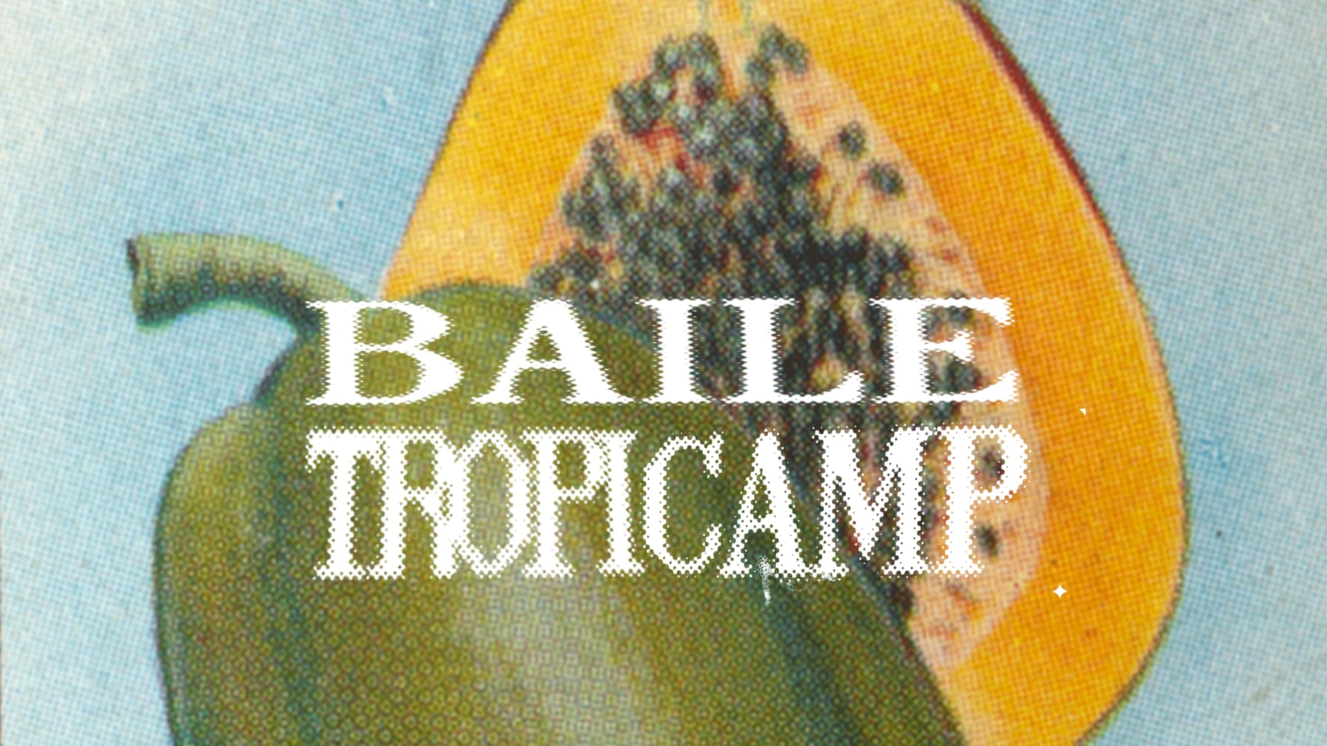 Baile Camp #5