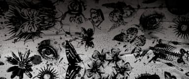 Blur Background