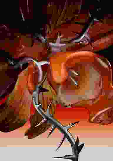 Blur Background