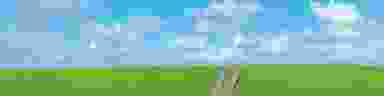 Blur Background