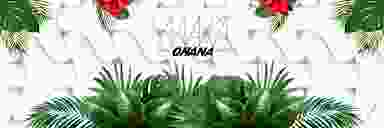 Blur Background