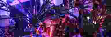 Blur Background