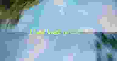 Blur Background