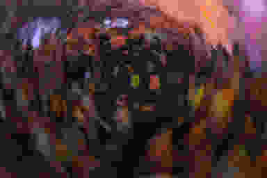 Blur Background