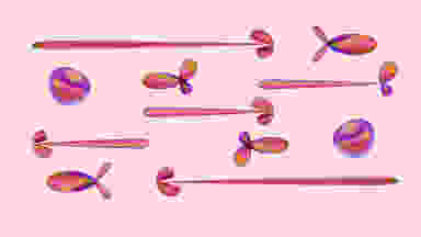 Blur Background
