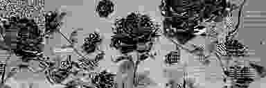 Blur Background