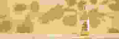 Blur Background