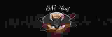 Blur Background
