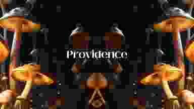 Blur Background