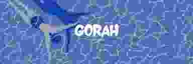 Blur Background