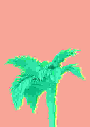 Blur Background