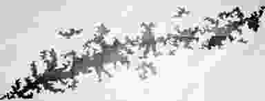 Blur Background