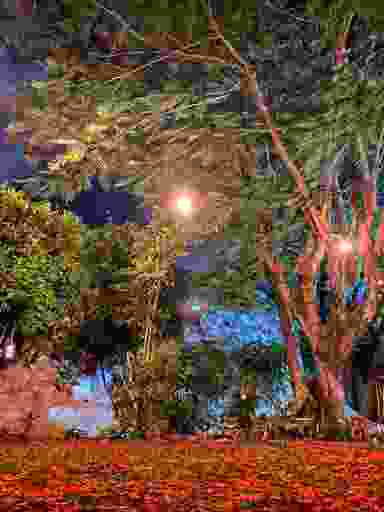 Blur Background