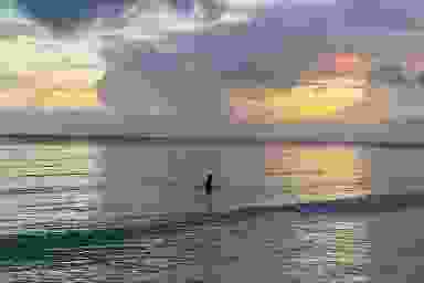 Blur Background