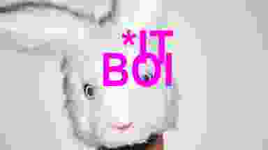 Blur Background