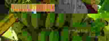 Blur Background