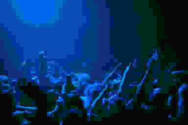 Blur Background
