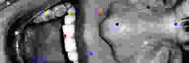 Blur Background