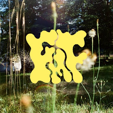 Free Mousse Festival