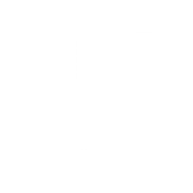 MC ANIMATION