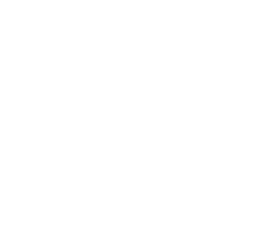 Pulp