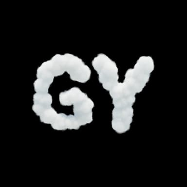 GOYARD X WE OUT THERE