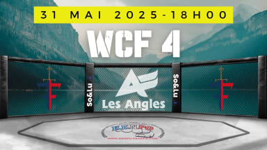 WCF MMA 3.0 les angles
