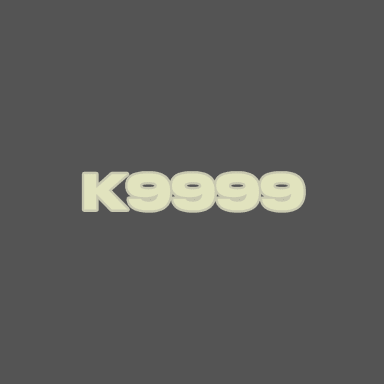 K9999 Radio