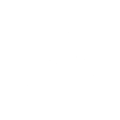 ADRENALINE FX
