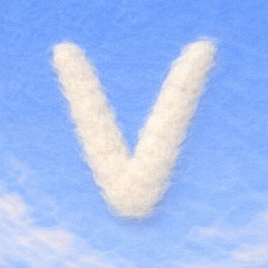 VEEVLY MUSIC FESTIVAL