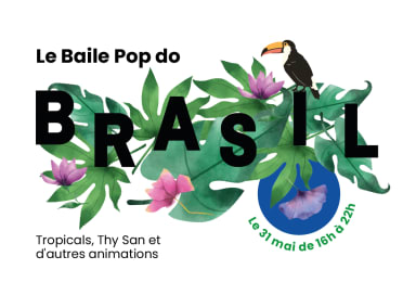 Le Baile Pop do Brasil