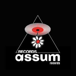 assumrecords